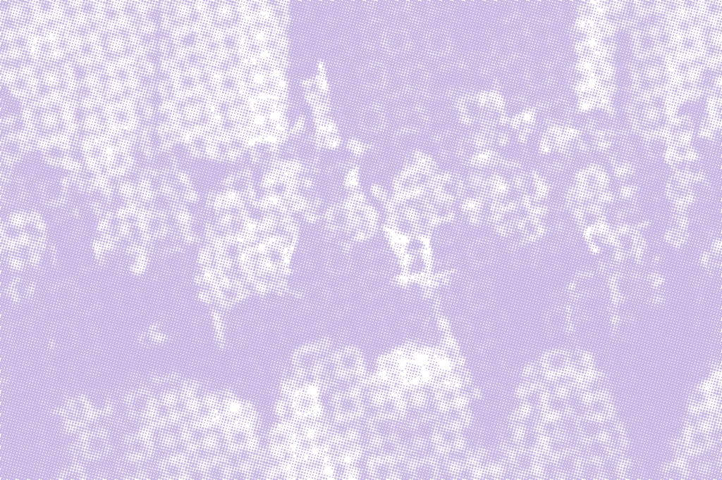 3d207f9e05bc117a316658e594b5485bf069ee42 halftone